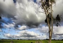 来这里！《天涯情感人熟悉的秘密花园：看这个论坛怎么拢住千万心事》